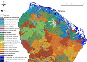 Habitat map with Paracou, ©Aurélie Dourdain, UMR Ecofog